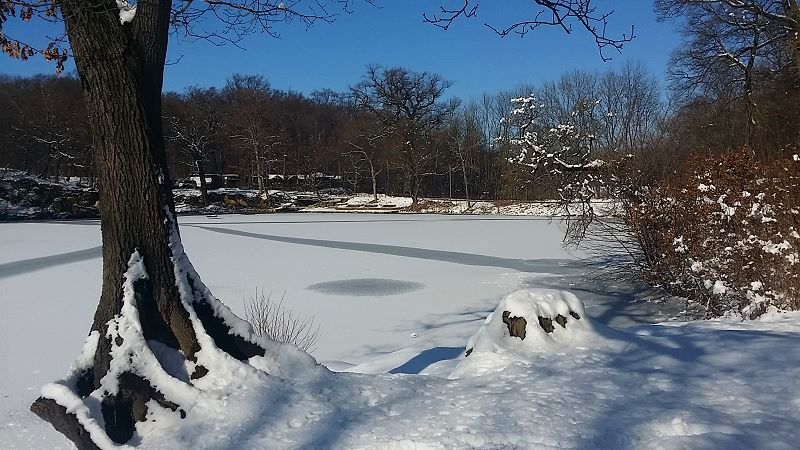 Winter
