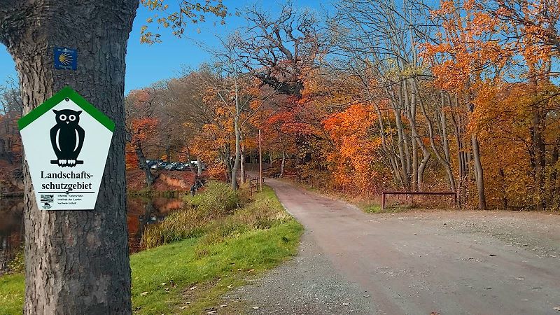 Biergarten Mnchemhle Blankenburg im Harz 