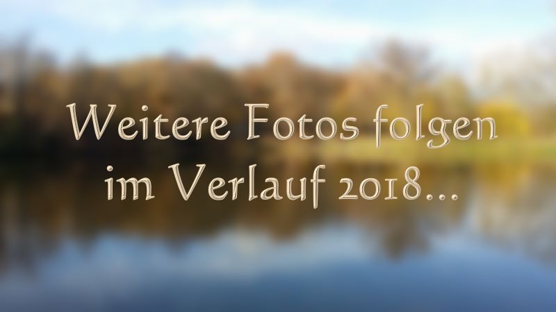 Weitere Fotos folgen